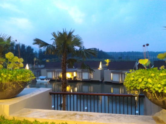 A tranquil waterside view with modern bungalows set among lush greenery. A palm tree and potted plants adorn the foreground, with the calm water reflecting the overcast sky and buildings. The setting suggests a peaceful and picturesque vacation spot.