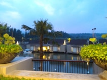 A tranquil waterside view with modern bungalows set among lush greenery. A palm tree and potted plants adorn the foreground, with the calm water reflecting the overcast sky and buildings. The setting suggests a peaceful and picturesque vacation spot.