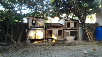 A backyard area with multiple wooden animal cages stacked against a brick wall, surrounded by trees. There is a blue plastic barrel, various garden tools leaning against the wall, and two chickens walking on the paved ground.