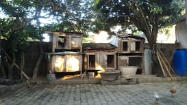 A backyard area with multiple wooden animal cages stacked against a brick wall, surrounded by trees. There is a blue plastic barrel, various garden tools leaning against the wall, and two chickens walking on the paved ground.