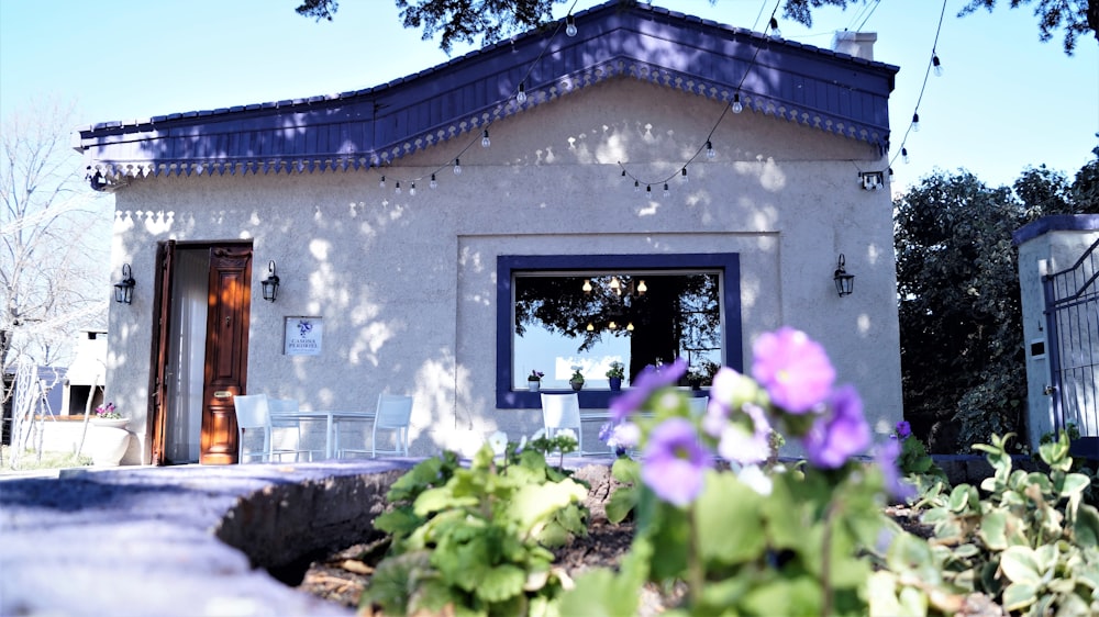 Casa in cemento dipinto di bianco e blu