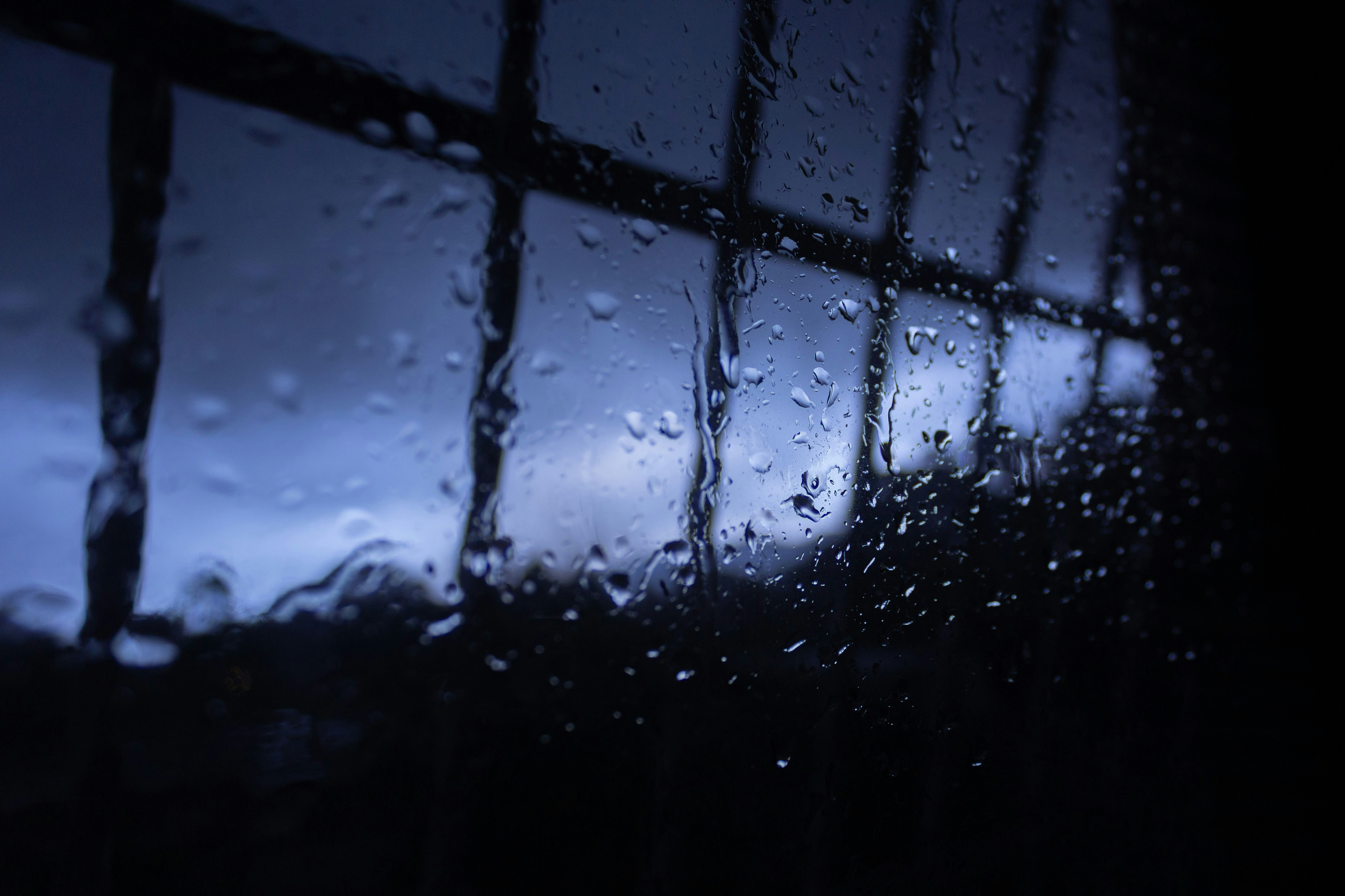 Photo by wilmerastphotos