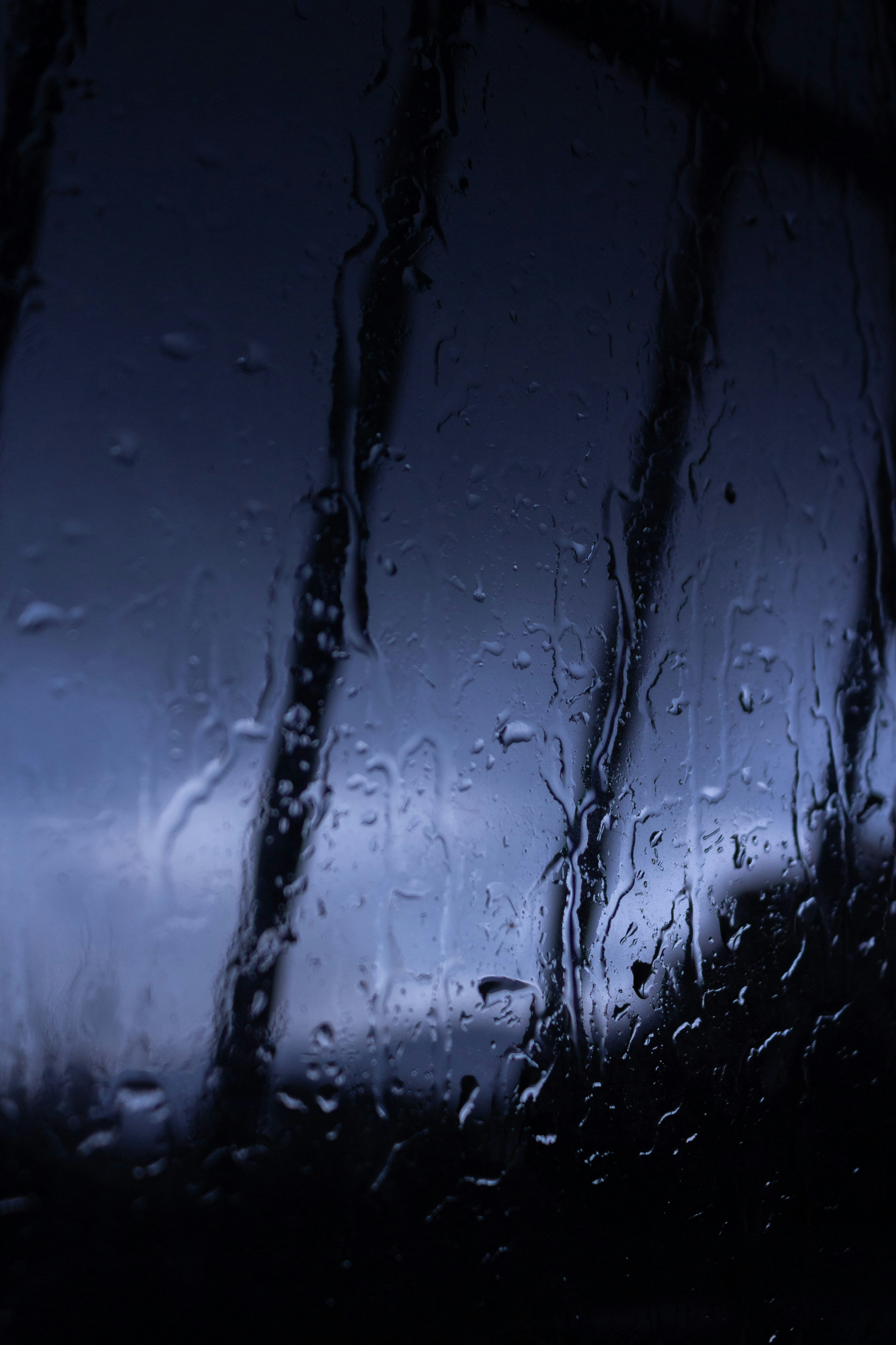 Photo by wilmerastphotos