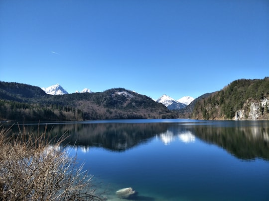 photo of Museum of the Bavarian kings Mountain near Frillensee (Grainau)