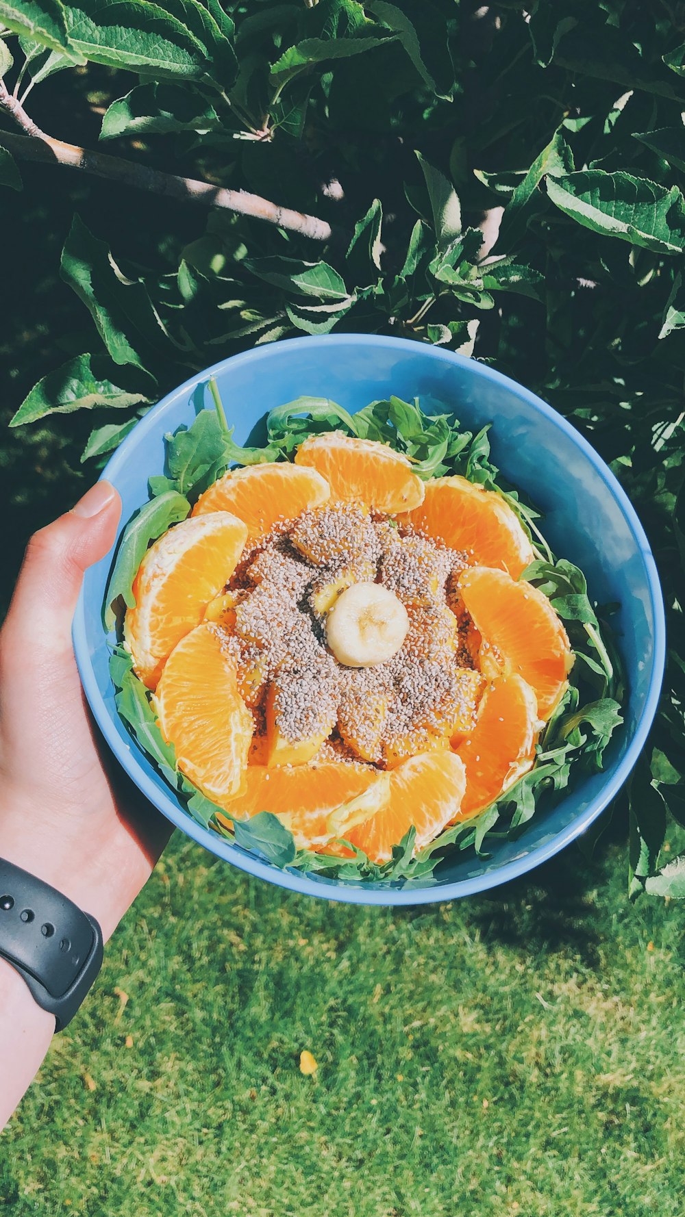 person holding orange fruits on bowl