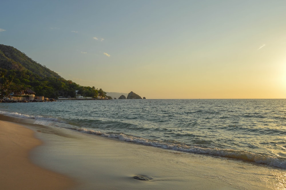 sea shore during daytime