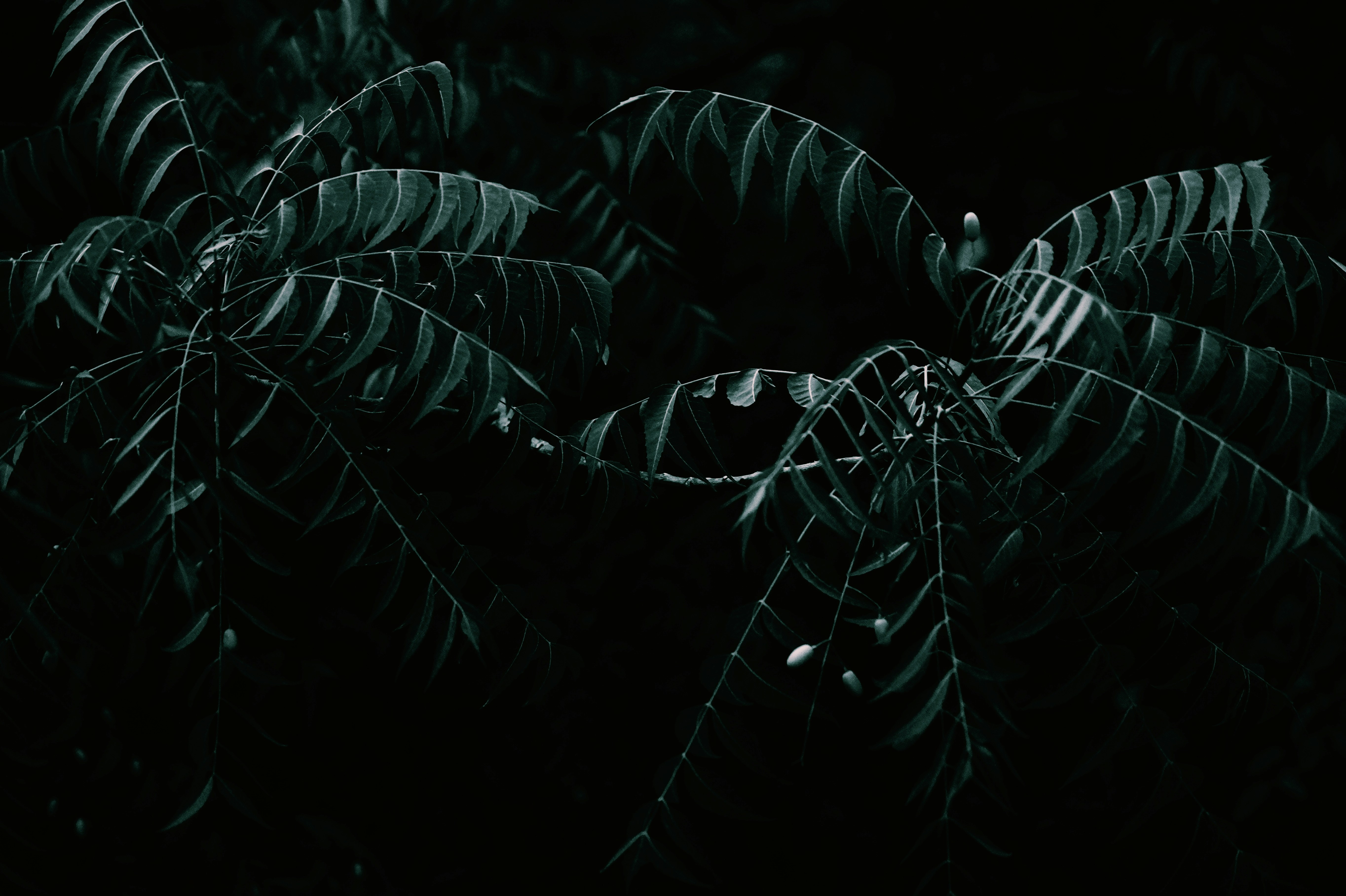 Photo by sujeethpotla