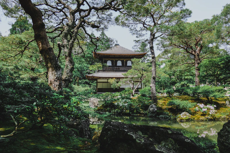 Kyoto Cuisine (Kyo-ryori): The Refined Food of Japan's Ancient Capital