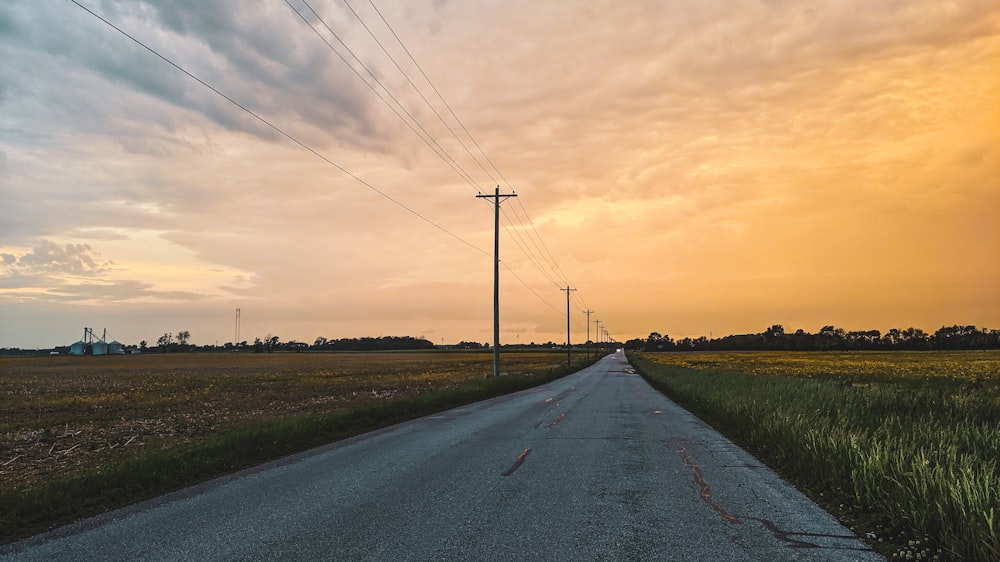 vacant road near green field during golden hour
