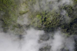A satellite view capturing swirling clouds over lush green forests.