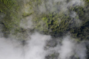 A satellite view capturing swirling clouds over lush green forests.