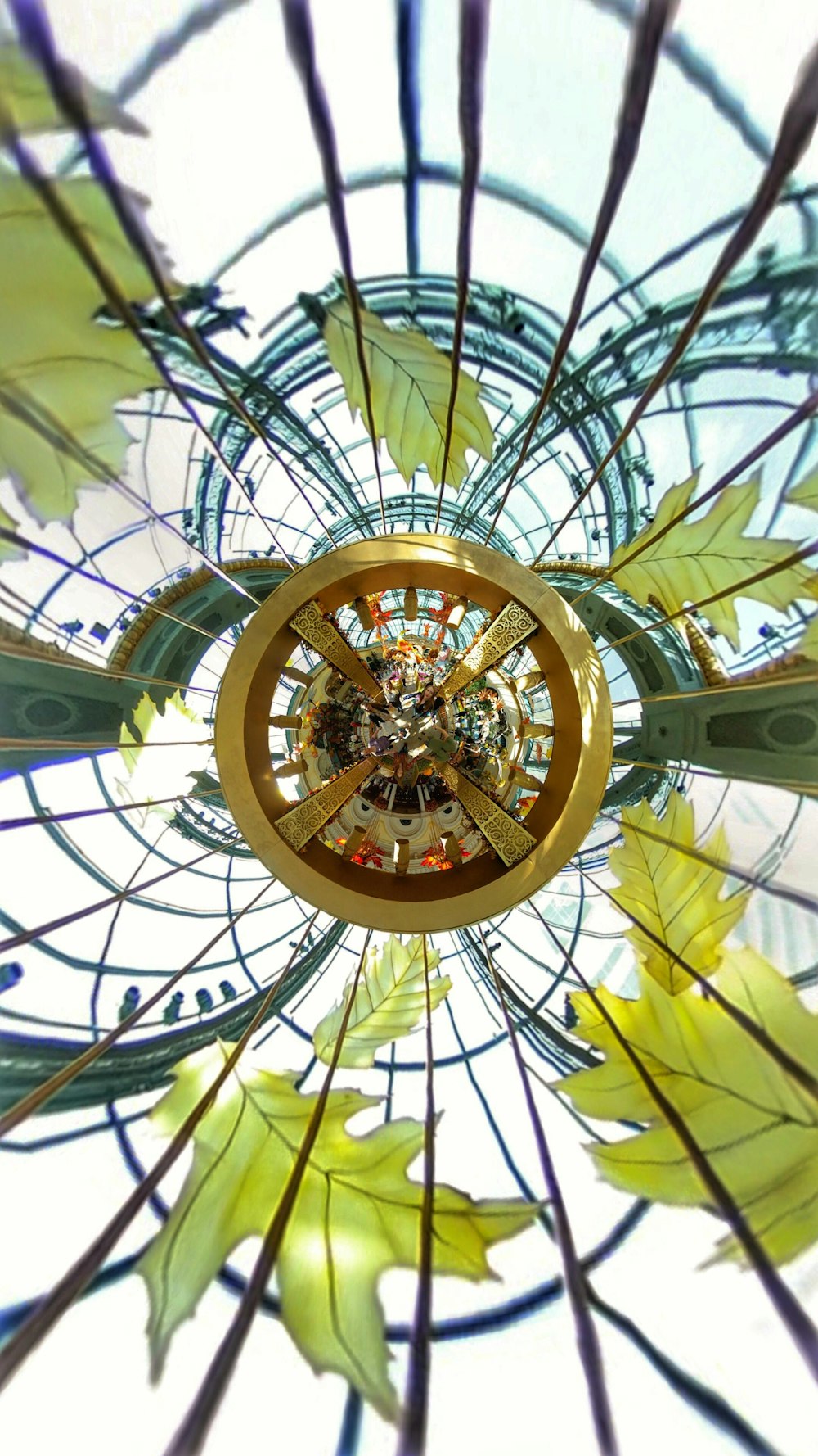 a view of a glass ceiling with leaves on it