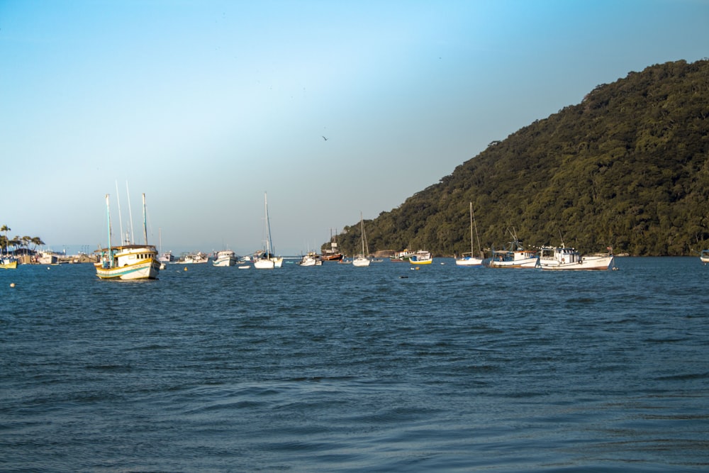 boats on body of water besides green hills