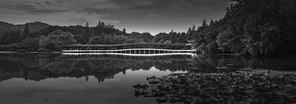 grayscale photography of bridge