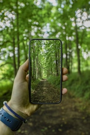 full-screen smartphone with green trees photo
