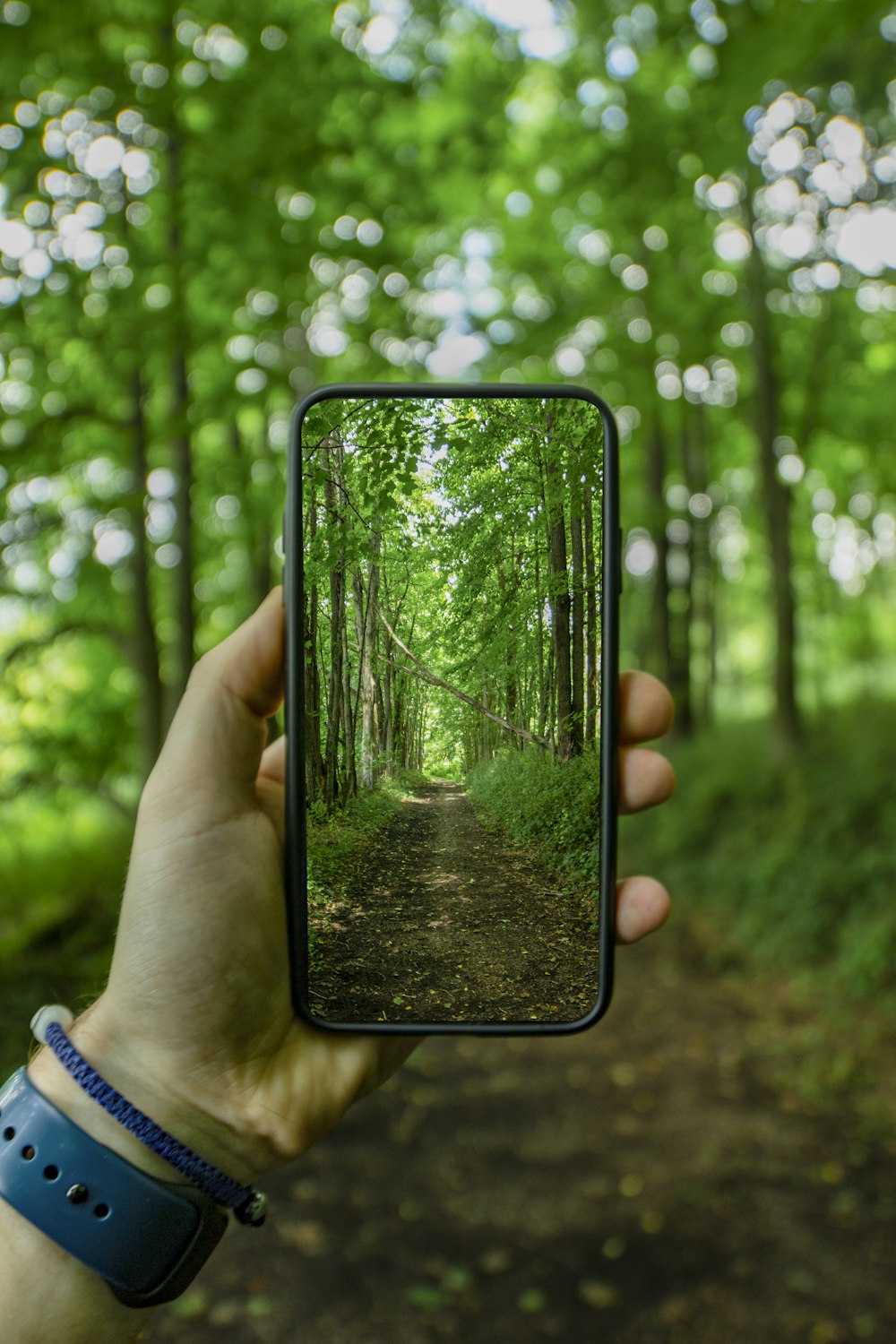 full-screen smartphone with green trees photo