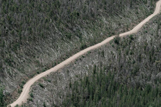 Close-up of a dirt road cutting through the Amazon rainforest inviting to explore available plots.