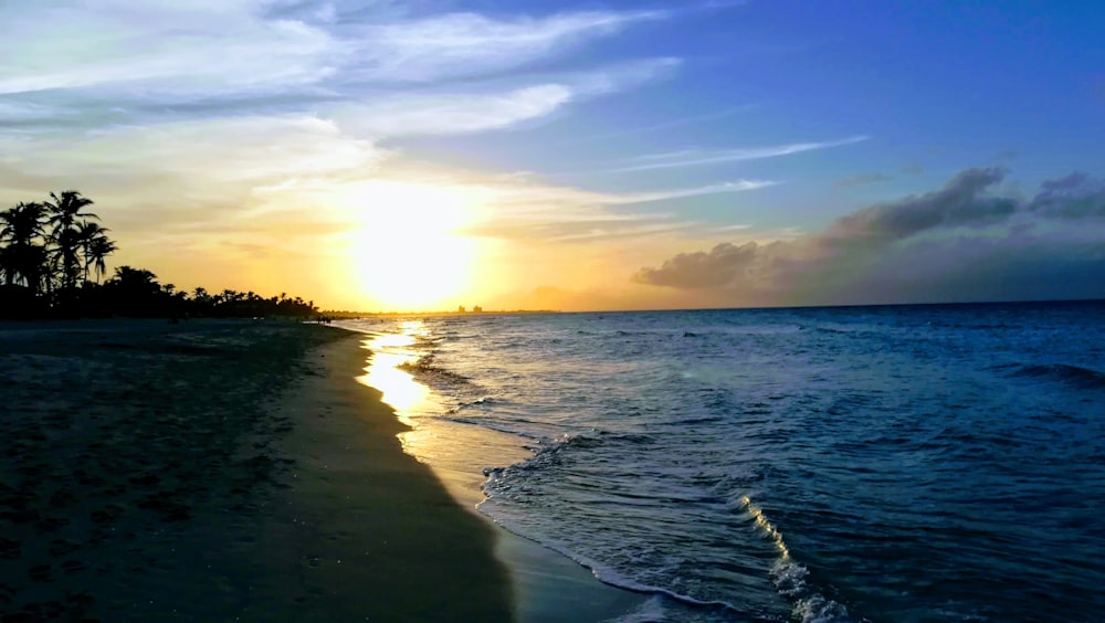 seashore during sunset