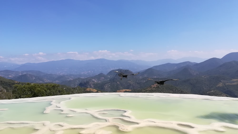 a couple of birds flying over a large body of water