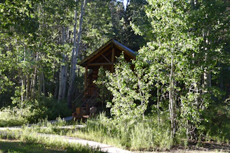 A welcoming wooden cabin nestled among fruit trees.