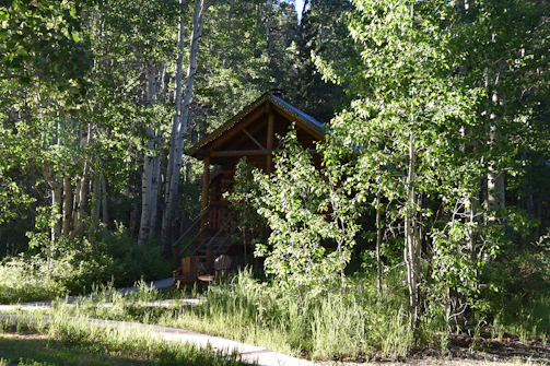 A welcoming wooden cabin nestled among fruit trees.