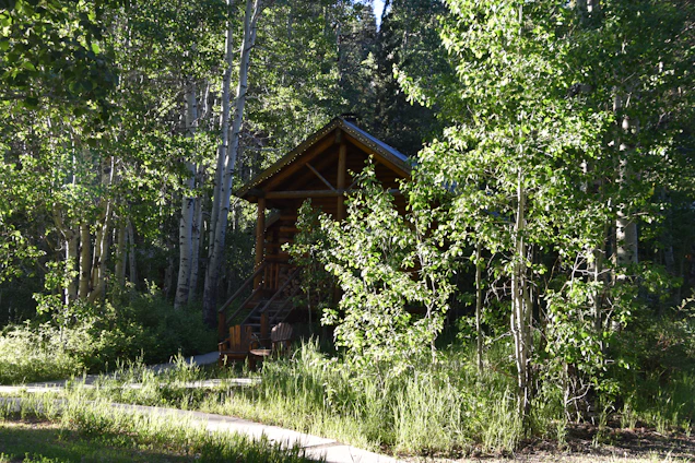 A peaceful tiny-home village nestled among tall trees with soft sunlight filtering through the leaves.