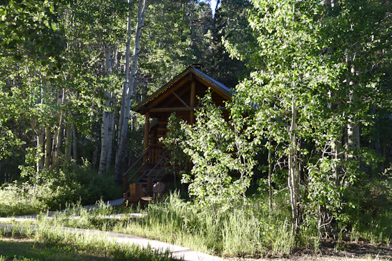 A sunlit wooden cabin nestled among pine trees with a winding trail leading to a mountain view.
