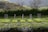 A garden with neatly arranged raised beds filled with leafy green plants. Wire trellises stand throughout, likely for supporting climbing plants. The garden is surrounded by a lush hedge, set against a backdrop of forested hills under a clear sky.