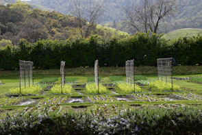 Timber retaining wall supporting a garden bed with neatly levelled soil and lush greenery.