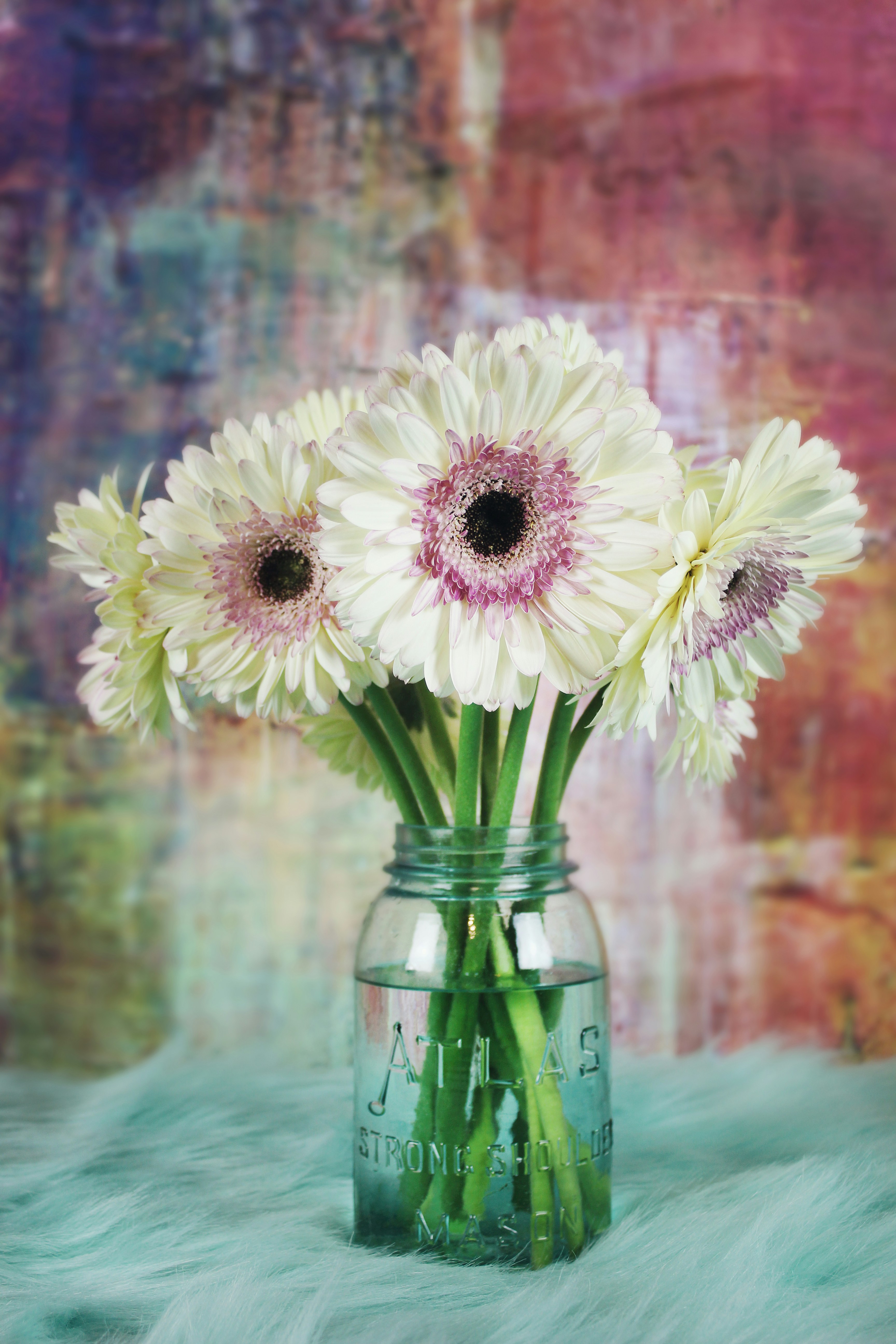 Photo by jentheodore