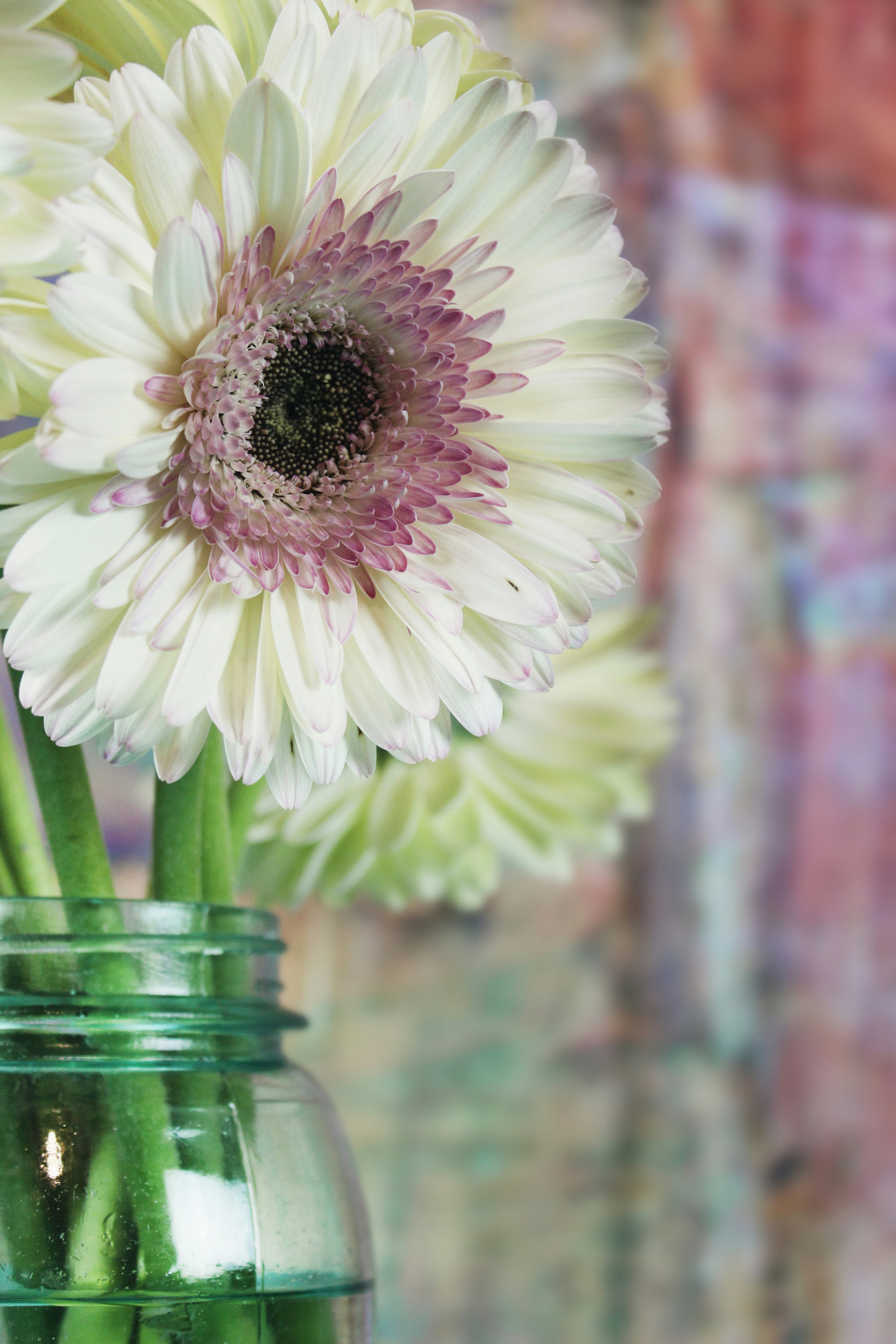 Photo by jentheodore