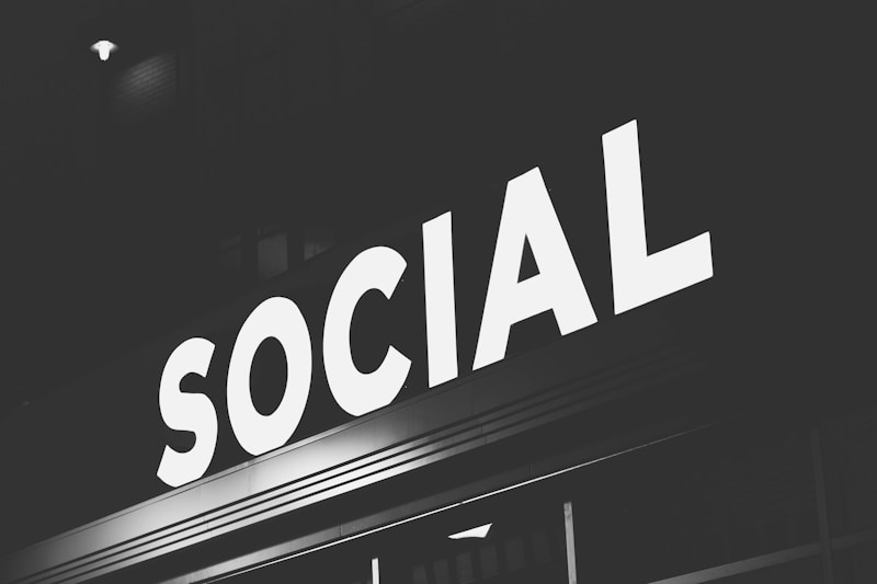 Socialization