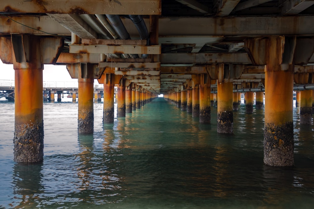 under the dock bridge