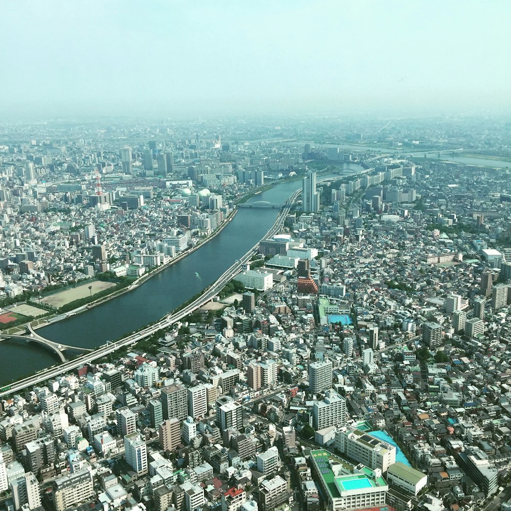 city with high-rise buildings viewing sea during daytime