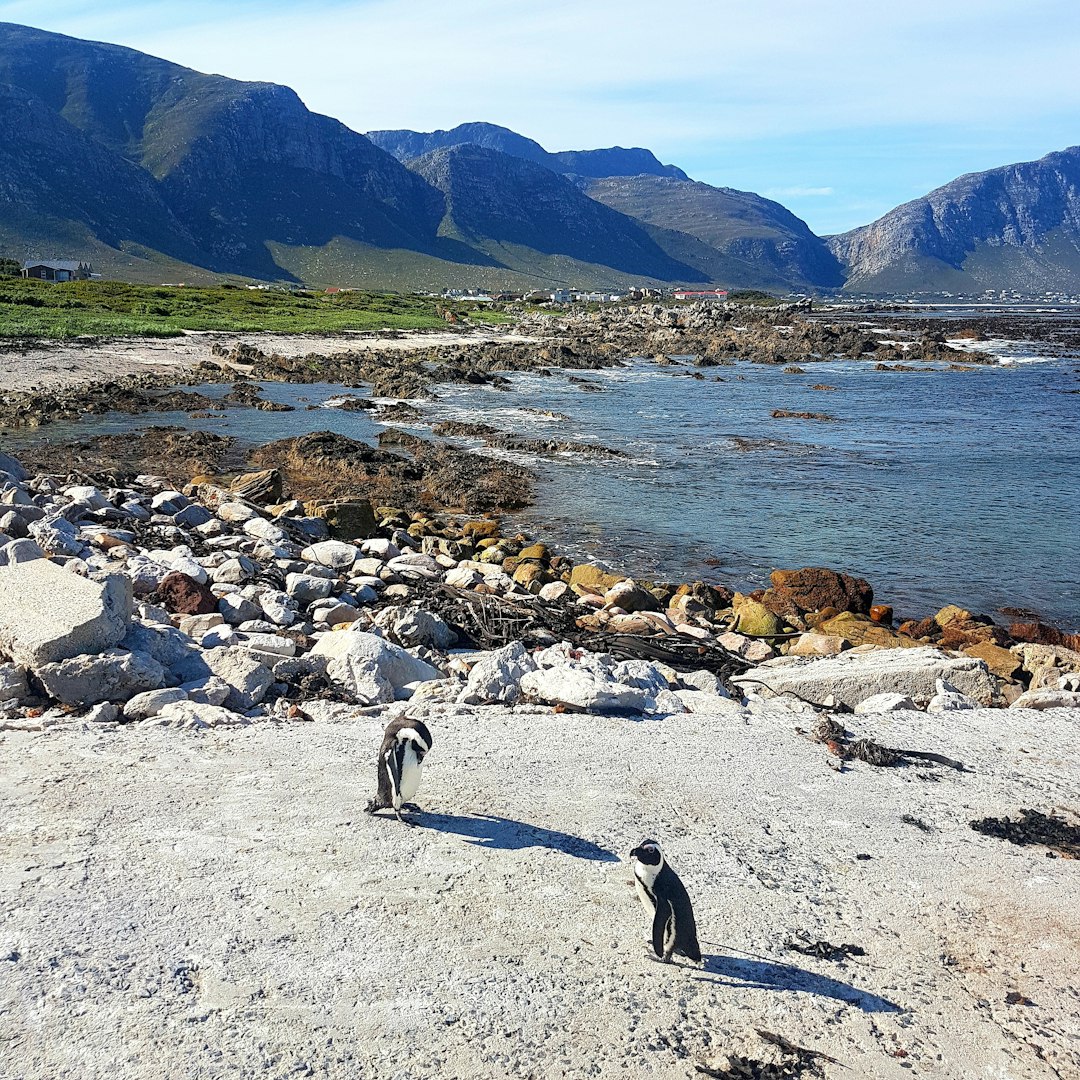 Beach photo spot 2411 Wallers Rd Kleinmond