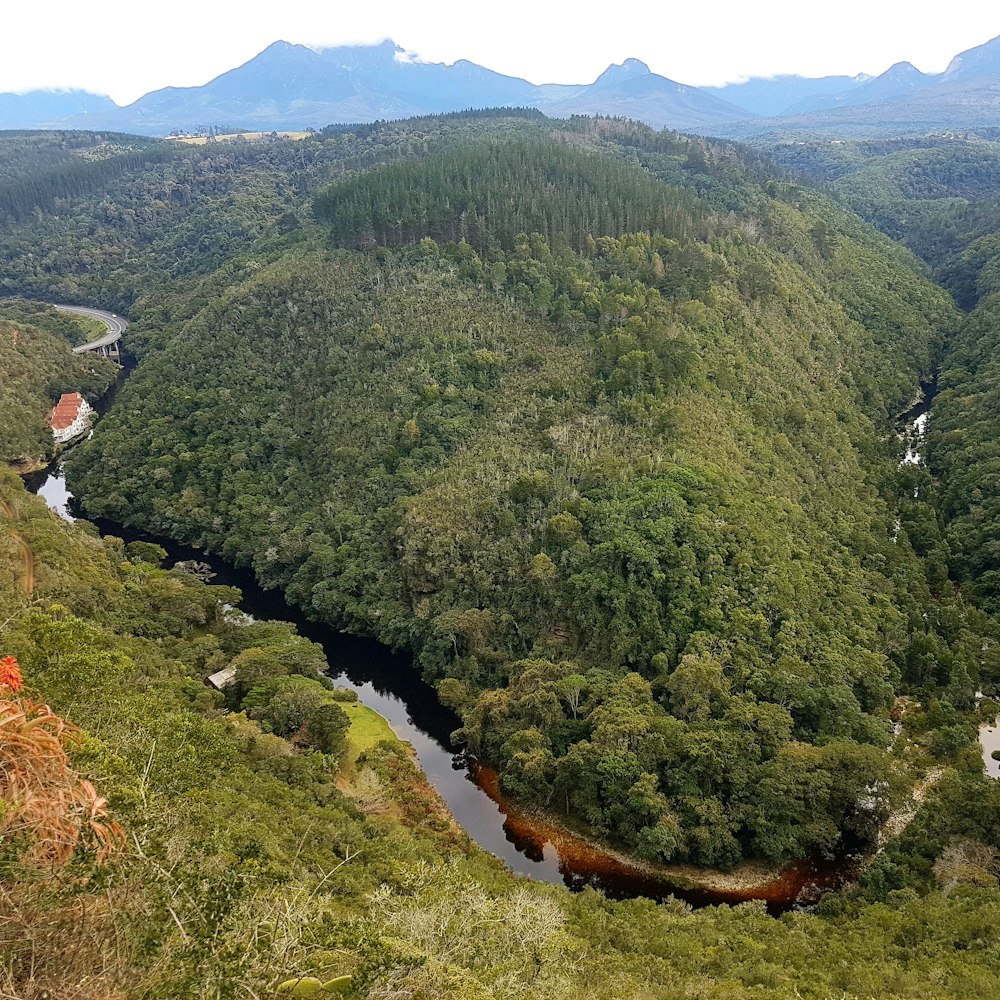 birds eye photography of mountain