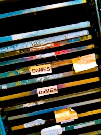 Several metal shelving units with visible wear and tear, decorated with labels reading 'DaMES'. Each shelf has a weathered appearance, with some additional papers and labels attached.