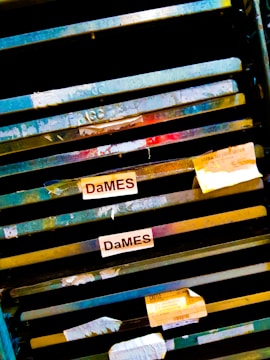 Several metal shelving units with visible wear and tear, decorated with labels reading 'DaMES'. Each shelf has a weathered appearance, with some additional papers and labels attached.