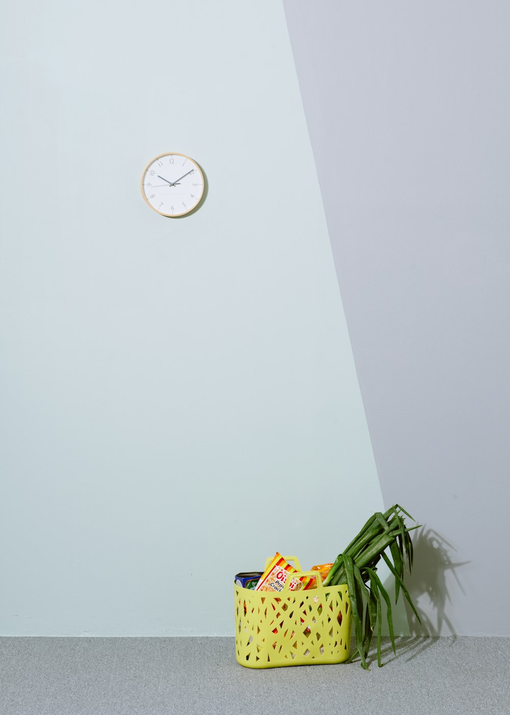 green leafed plant on yellow basket