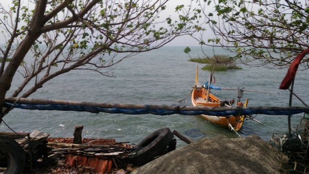 A small wooden boat floats on the water near the shore, surrounded by a few patches of green vegetation and trees with branches extending overhead. The boat is anchored and painted in orange with some blue and white accents. In the foreground, there are old tires and other debris by the water's edge.