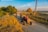 person riding tractor