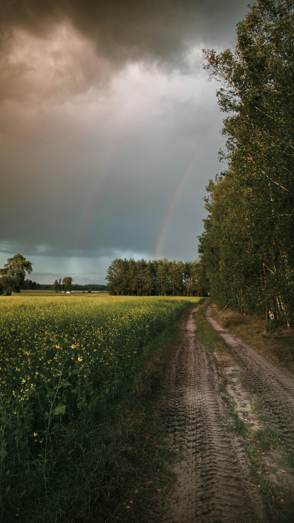 two rainbow arch in sky