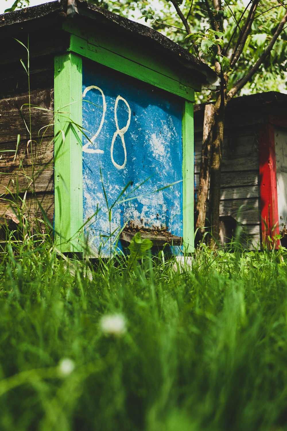 blue and green painted wood shed near tree