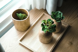 A close-up of delicate mini artificial succulents arranged in a rustic wooden tray, showcasing their lifelike textures and vibrant greens.