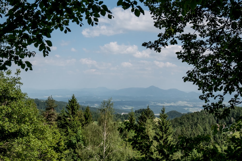 view of landscape during daytime