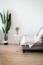 A minimalist interior features a light wooden floor and a neutral gray sofa adorned with a textured blanket and soft pillows. To the left, a tall, lush green plant stands in a pot, complemented by a small round table with wooden legs that holds a smaller plant. The light, airy ambiance is enhanced by the clean white walls.
