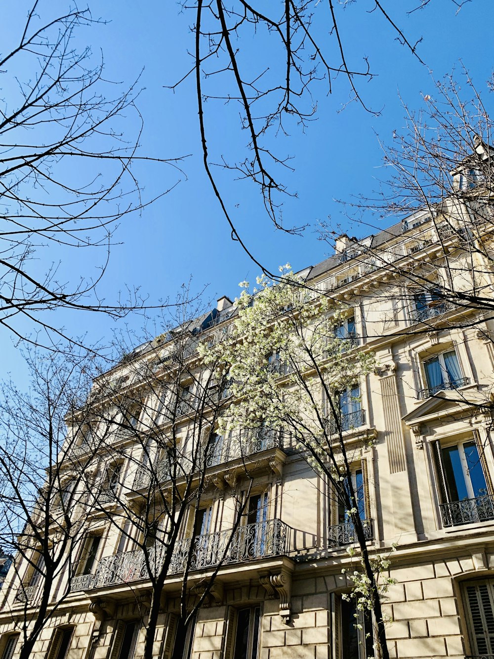 brown building during daytime