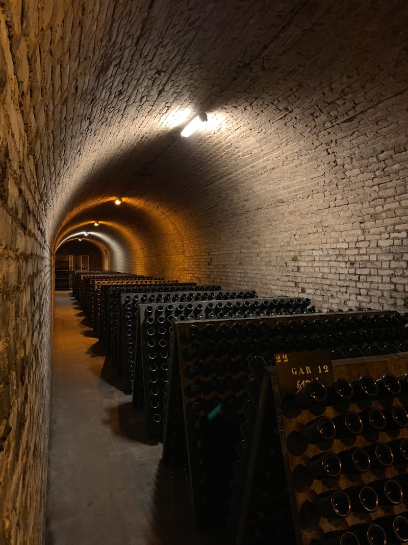 Cave voûtée avec rangées de bouteilles de grands crus