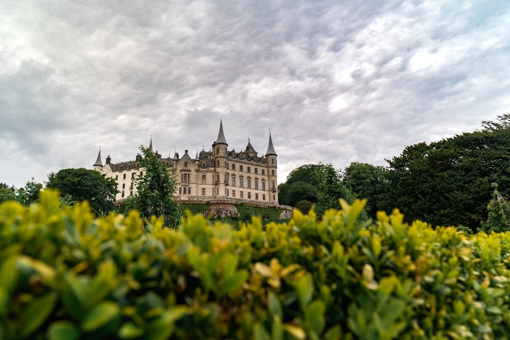 castle near trees