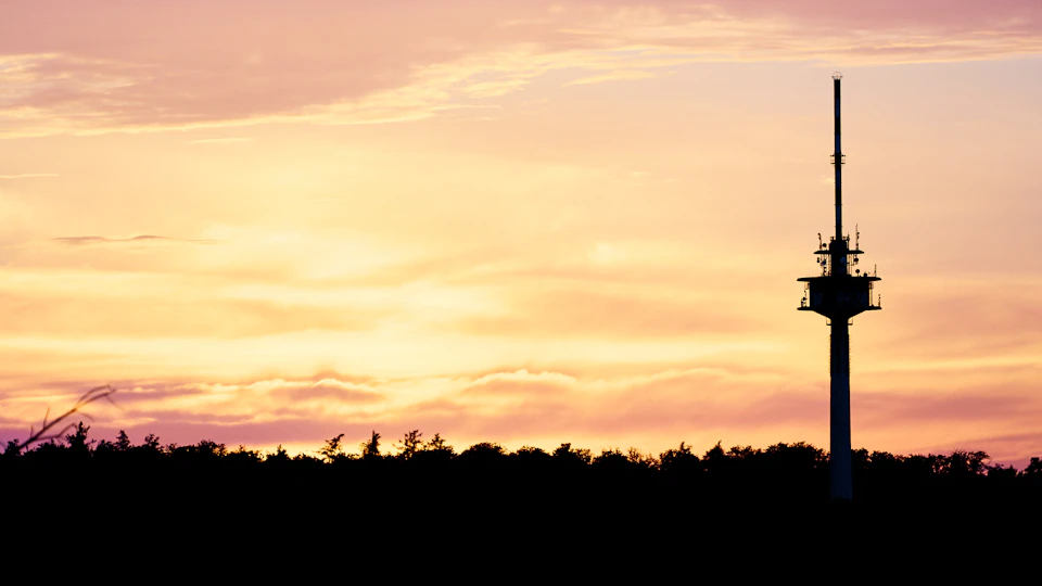 Serene sunset over forested area with silhouetted tower standing against warm sky hues